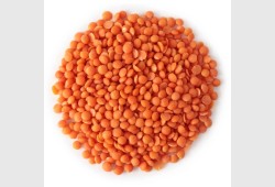 عدس مجروش