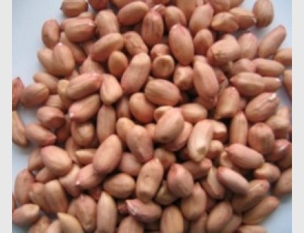 فستق عبيد مع قشر