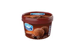 Saudia Ice Cream Chocolate 500 ml
