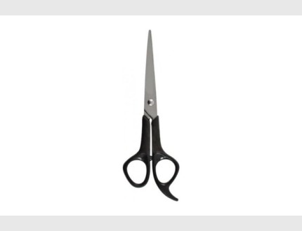 Scissors HJ-309, 170mm