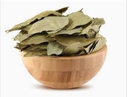 ورق غار 