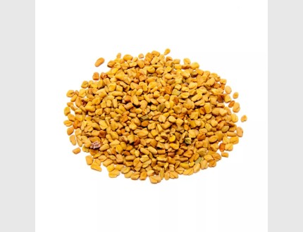 حلبة 